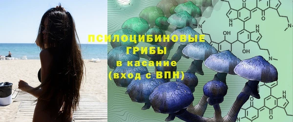 каннабис Аркадак