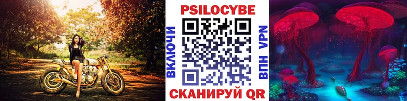Псилоцибиновые грибы GOLDEN TEACHER  Купить закладки  Нововоронеж 