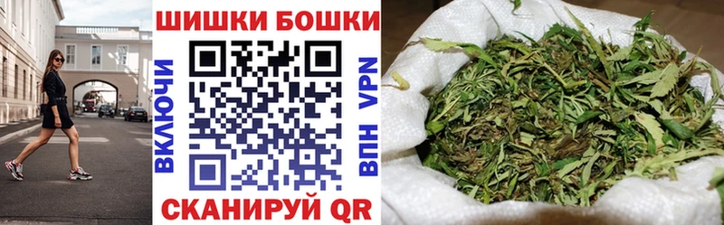 Купить закладки  Нововоронеж  Шишки марихуана планчик 